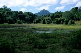 Archipel-des-Comores;-Colline-conique;-Forêt;-France;-Kaleidos;-Kaleidos-images;-La-parole-à-limage;-Laurent-Abad;-Marais;-Mayotte;-Nuages;-Océan-Indien;-Paysage;-Prairie-humide;-Stories-Pictures